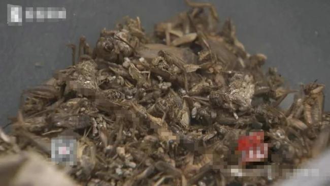 女子上?！鞍祖巍眱蓚€月被拘 惡意索賠終自縛