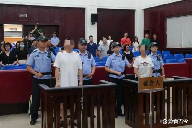 2人想赚流量钱，造谣科研人员虐待大熊猫获刑