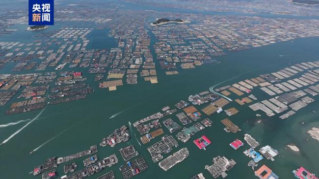 福建要求渔船按时撤离回港 台风“丹娜丝”逼近