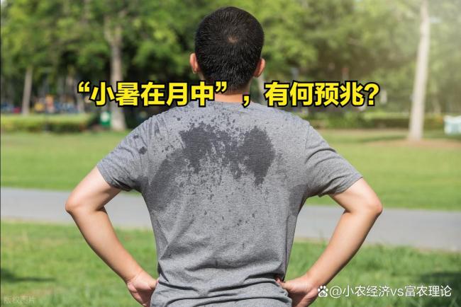 “澇不澇,，看小暑” 今日小暑有何預兆？風調雨順好年景