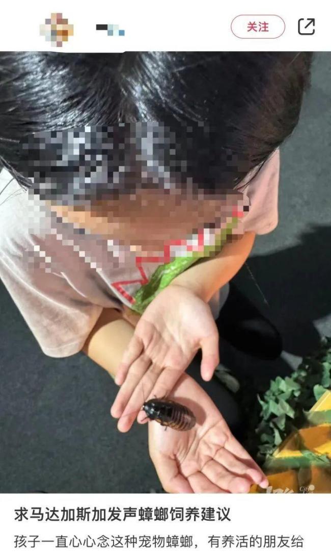 男子誤殺鄰居寵物賠償400元 異寵飼養(yǎng)引爭議