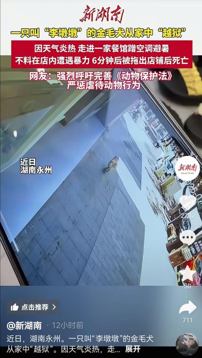 金毛在餐馆蹭空调避暑疑似遭殴打致死