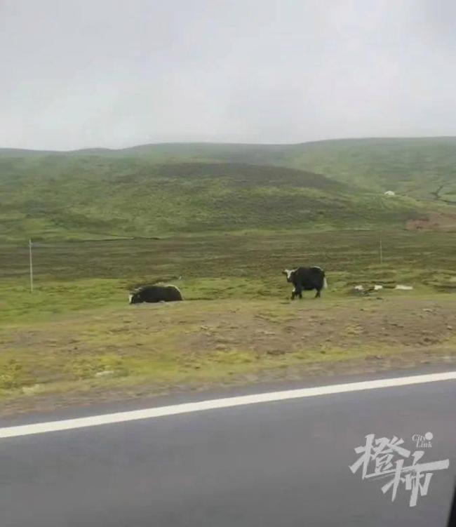 3對母女游川西墜崖家屬稱有收到線索 搜救仍在進(jìn)行中