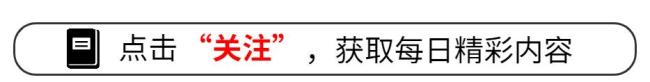 《以法之名》演員吃戲太精彩