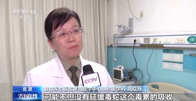 夏季“蛇咬傷”頻發(fā) 這些常見操作可致截肢,！