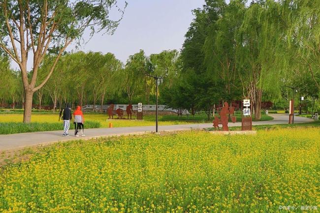 老年情侶公園親密舉動(dòng)合適嗎 需考慮公共場合與他人感受