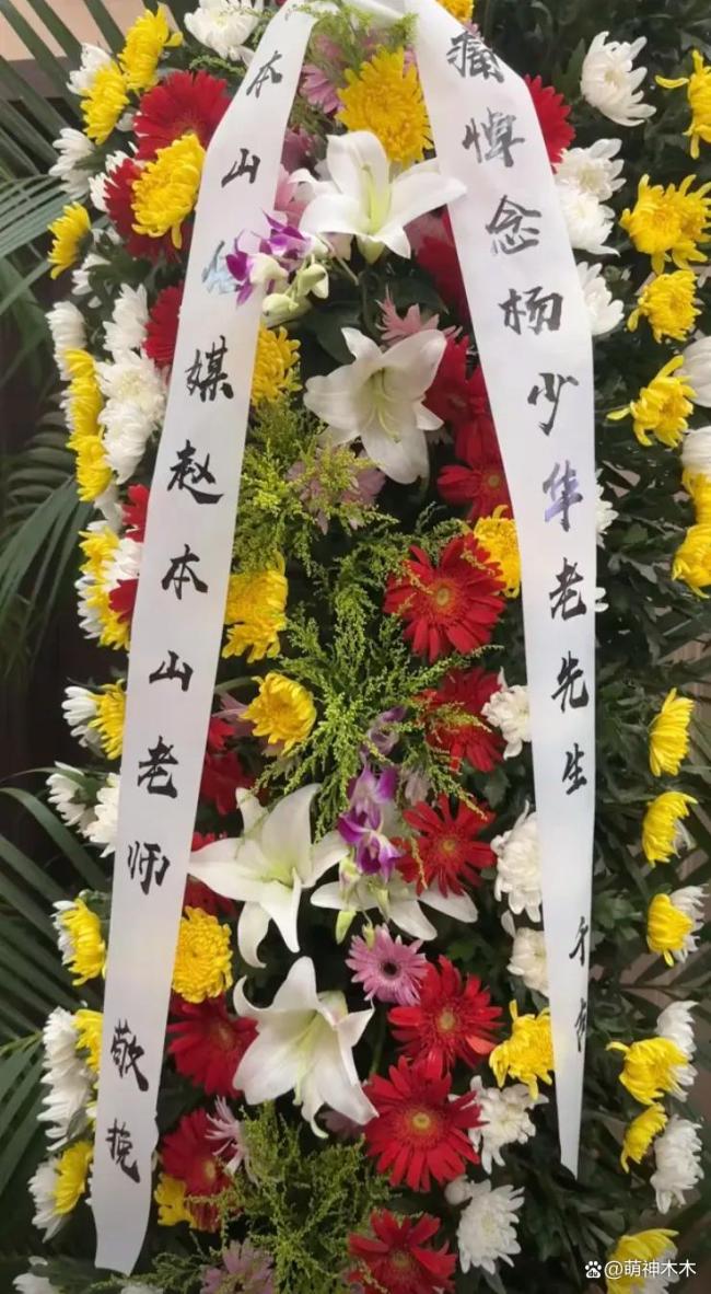 市民送別楊少華高喊老爺子一路走好 各界人士深情送別