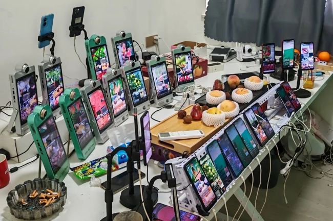 无锡阳山水蜜桃断崖式跌价、大量滞销？