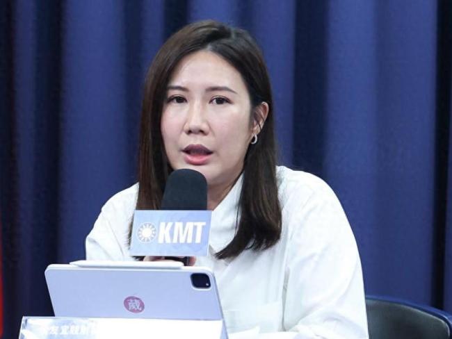 蓝营议员怒轰民进党手段低劣