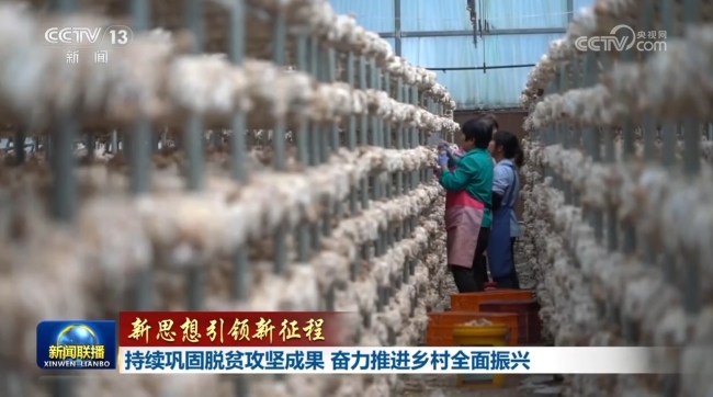 【新思想引领新征程】持续巩固脱贫攻坚成果 奋力推进乡村全面振兴