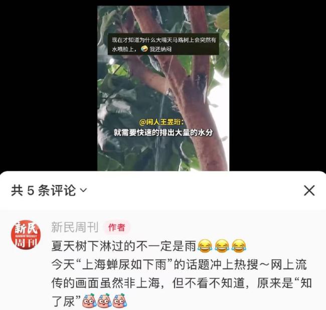 上海市民崩潰:今年的蟬為啥這么多