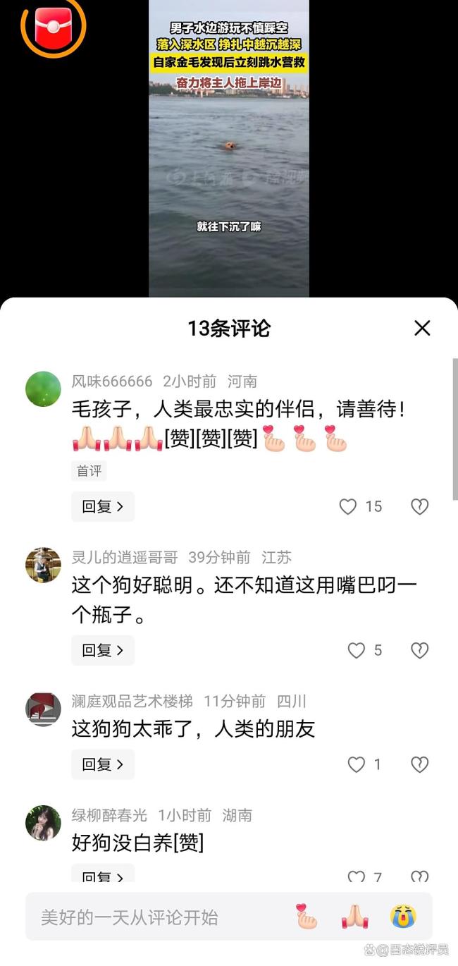 男子落水被金毛救上岸 忠誠守護(hù)感動網(wǎng)友