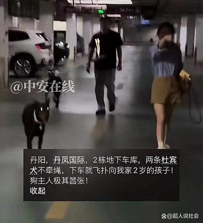 狗飛撲剛下車的2歲幼童