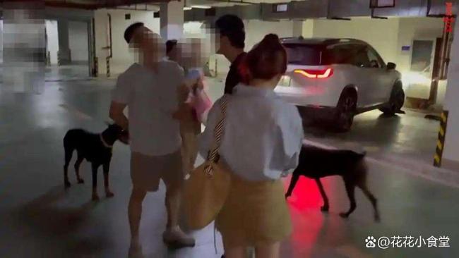 丹陽杜賓犬事件新進(jìn)展 狗主人態(tài)度引爭議