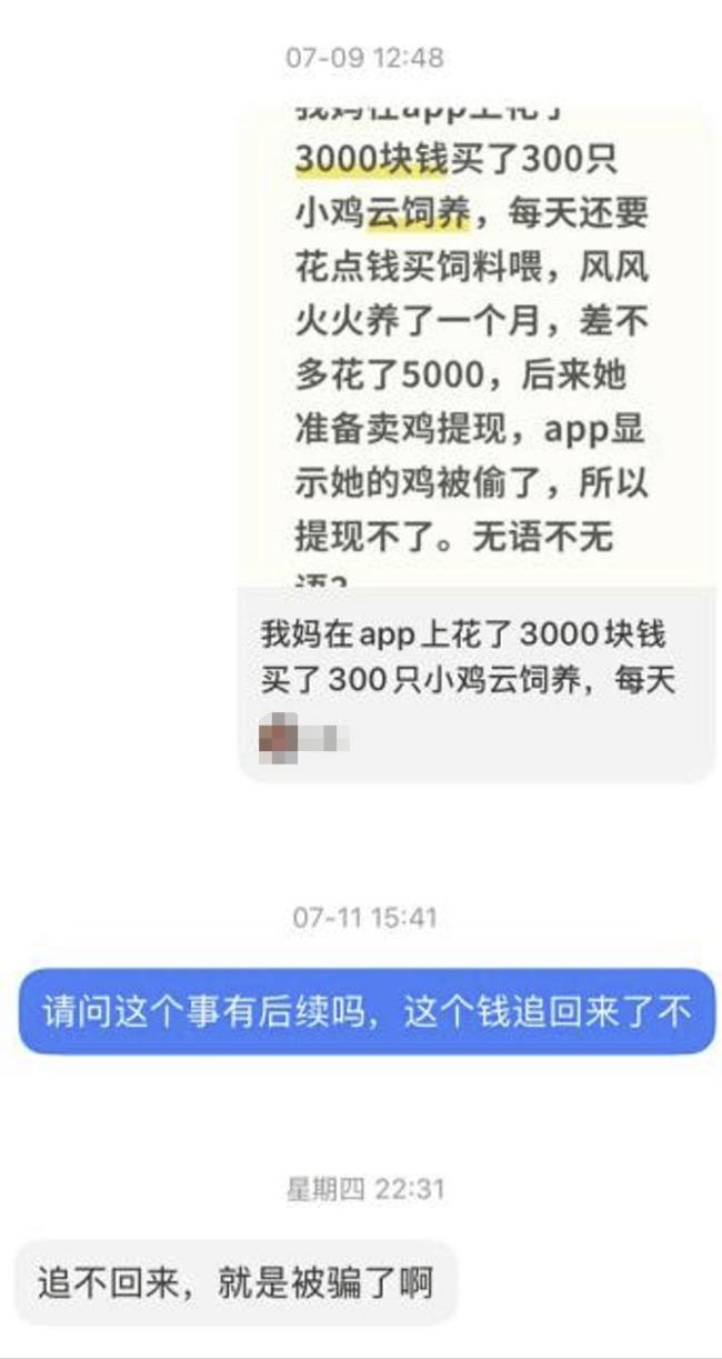 花费5000元云养鸡提现时小鸡一夜蒸发 骗局揭秘