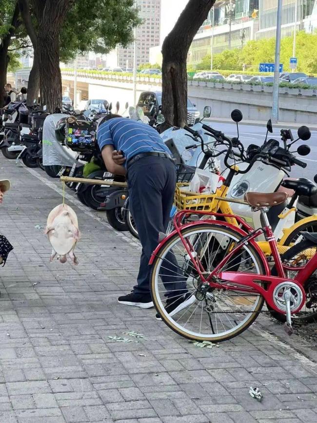 街头有人叫卖野生鳖 专家提醒 警惕外来物种风险