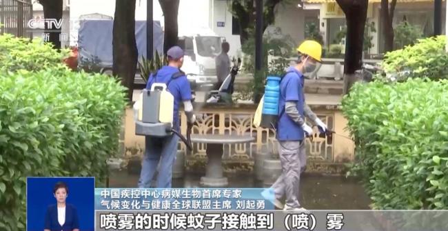 广东基孔肯雅热疫情快速传播正常吗 多种因素叠加所致