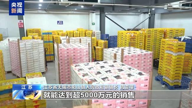 鄉村消費活力釋放：智能家電進村 鮮果加速進城