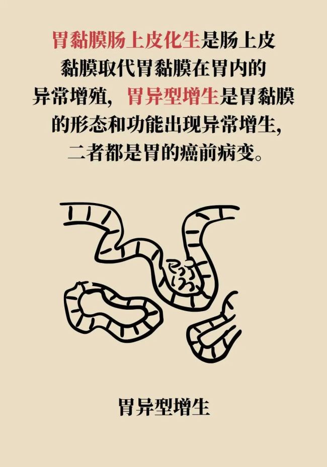 年年体检却患癌？因为你忽视了“最后的警告”，7类癌前病变全解析
