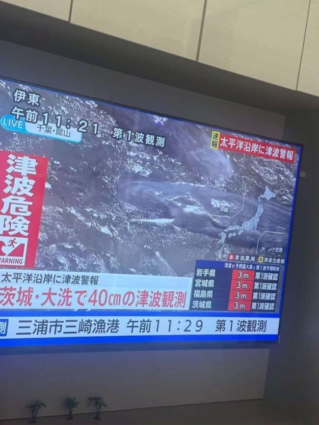 在日留学生：听到海啸警报 大家集中去避难