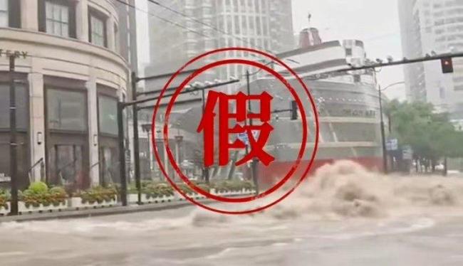 编造台风竹节草谣言11人被处理