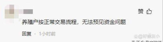 8吨牛肉卖38万 收到货款被冻结 老实人遭骗背锅
