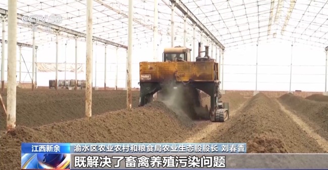 废旧塑料餐盒变身3D打印椅 “变废为宝”又有新招