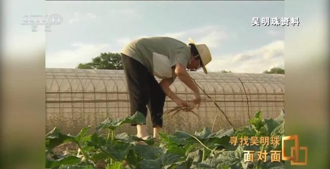 中国人的吃瓜自由要感谢她 甜瓜女王的奉献