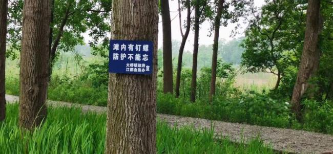 接触10秒即可感染 汛期当心这种病 谨防血吸虫感染