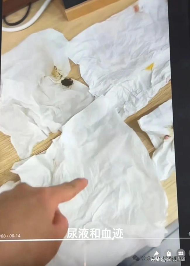 沈阳女子包房虐死4只猫 残忍行为引发众怒