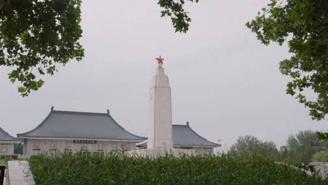 天津大爆炸幸存消防员十年后现状 从悲痛到重生