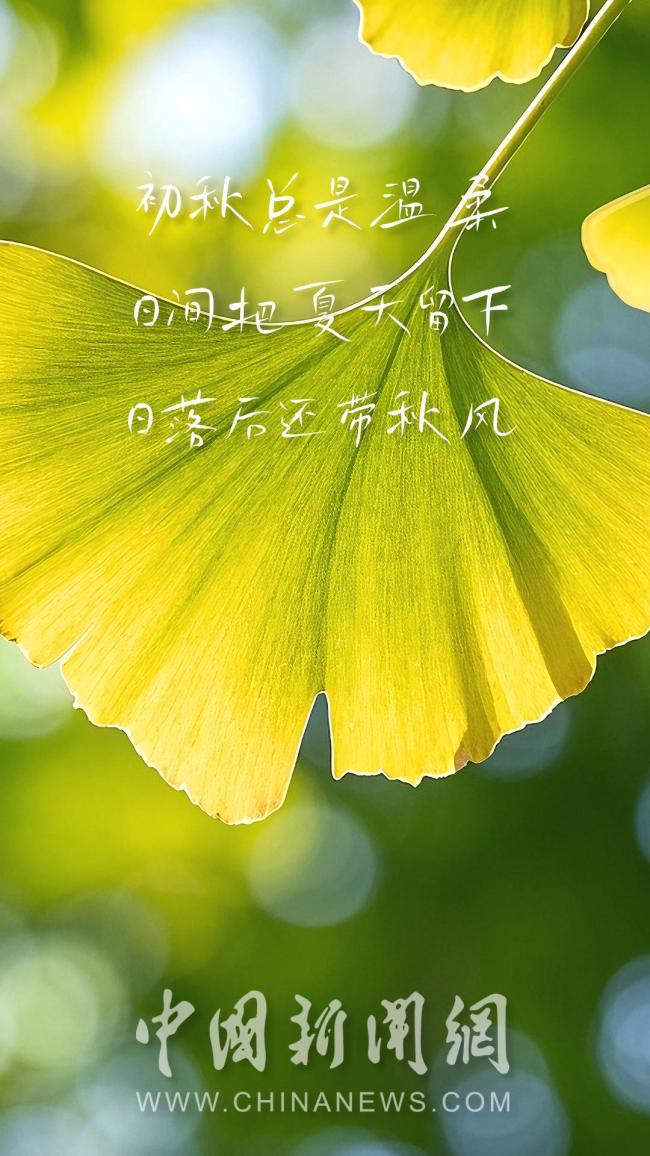 立秋文案 清秋已可待