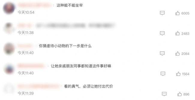 猫咖老板撕掉所有证件死磕虐猫顾客 拒绝沉默，暴行必付代价