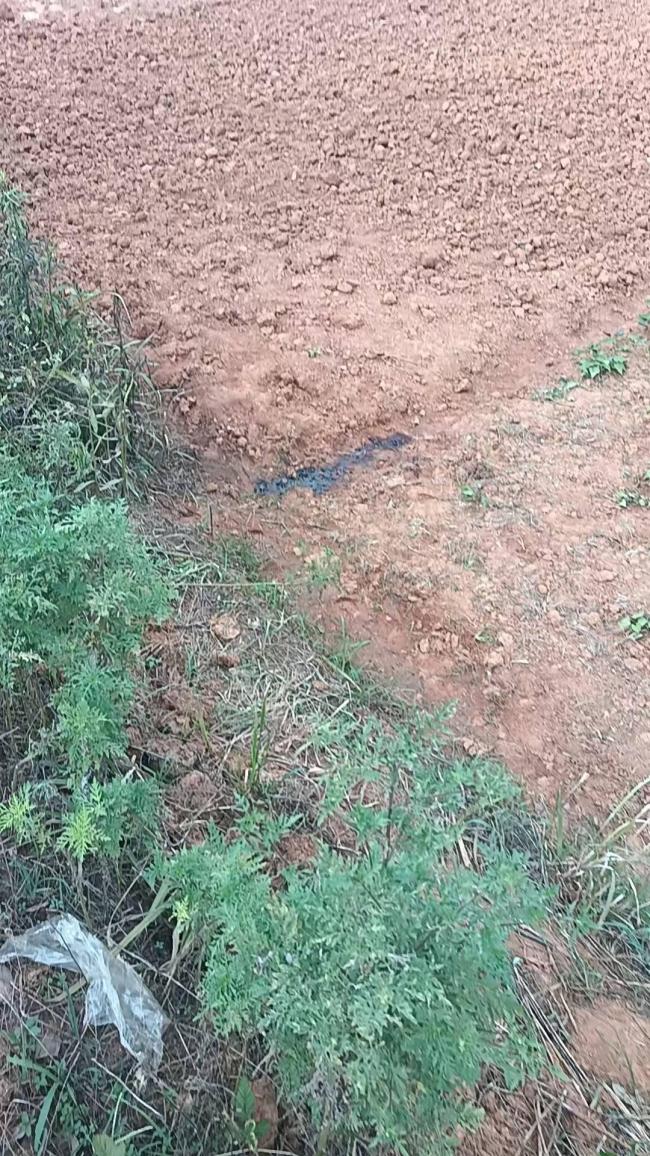 农民工在农田遭气枪击中身亡 悲剧引发关注