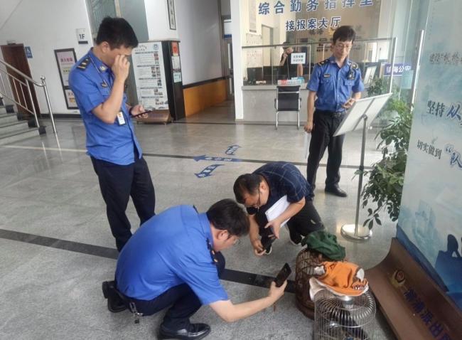 宁波一市民家中养画眉鸟被立案调查 保护升级引发关注