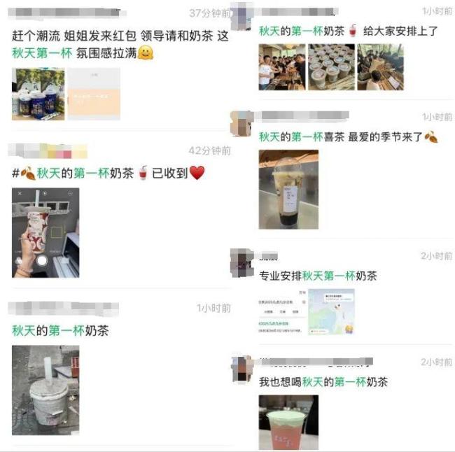 秋天的第一杯奶茶你喝了吗