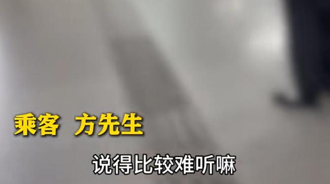 上海地铁一大爷辱骂旁边女士 导盲犬风波引发热议