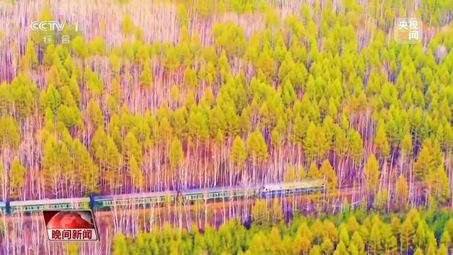 停伐十年 看“綠色寶庫(kù)”大興安嶺的轉(zhuǎn)型路→