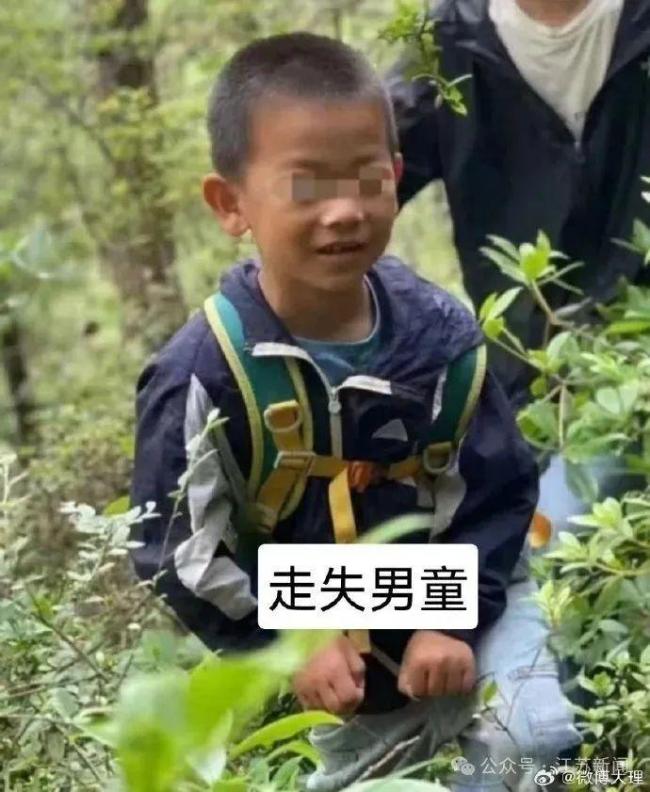 8岁自闭症男孩大理苍山失联 多方力量全力搜救