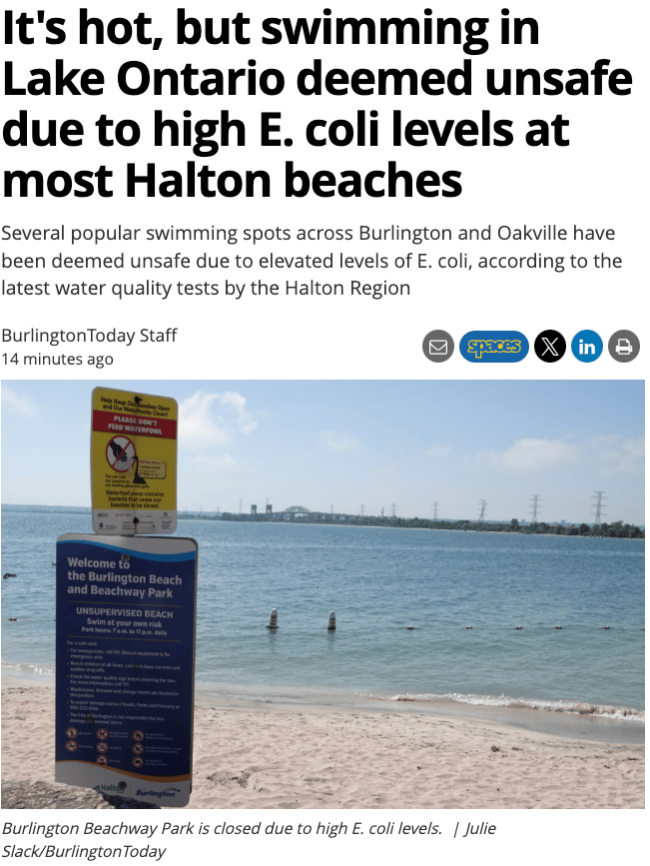 加拿大湖滩沦为印度浴场 水质警告频发