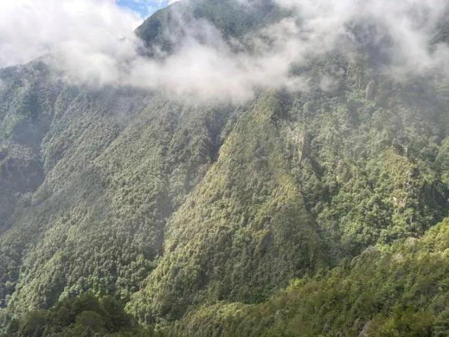 苍山失联男孩夏令营清空社交账号 全城搜救牵动人心