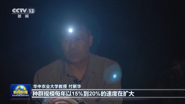 感知生态之变丨母亲河重现生机与活力