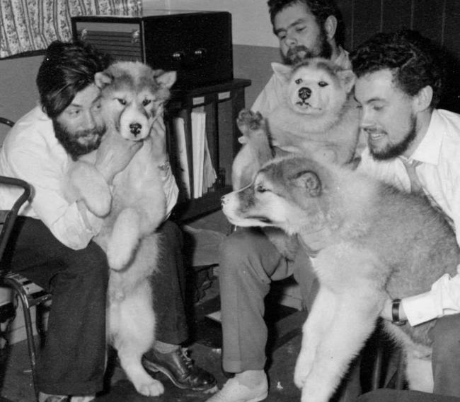 南極驚現(xiàn)一具冰封66年遺骸 冰川融化下的發(fā)現(xiàn)