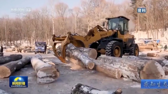 感知生態(tài)之變丨我國(guó)成為全球增綠最多最快的國(guó)家