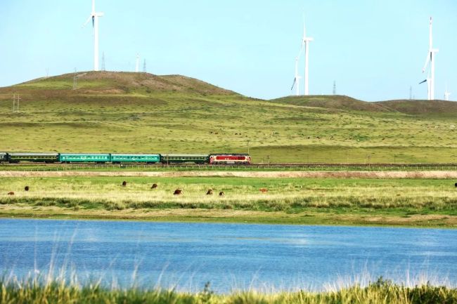 每一張都是壁紙！看火車行駛在草原“畫廊”