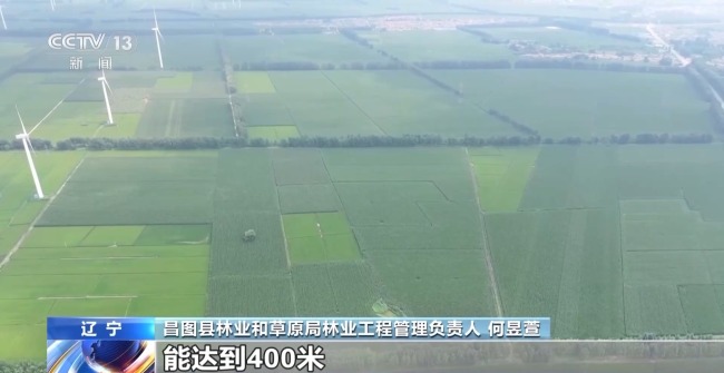 我國(guó)治沙有多牛？西北大漠變身“菜籃子”