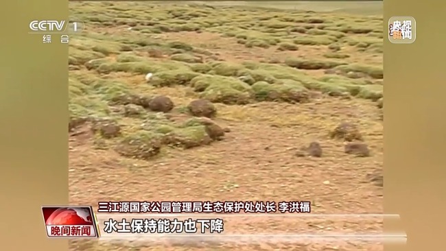 看見美麗中國(guó)丨三江源20年蛻變:千湖歸來 “中華水塔”煥新生