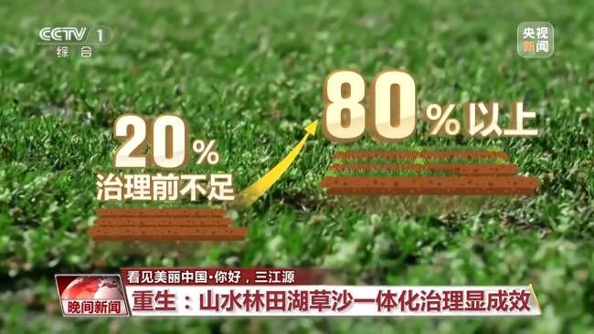 看見美麗中國丨三江源20年蛻變:千湖歸來 “中華水塔”煥新生