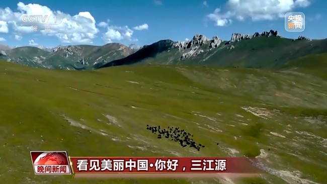 看見美麗中國丨三江源20年蛻變:千湖歸來 “中華水塔”煥新生