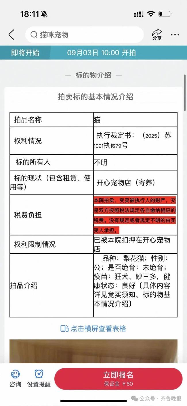 有人愿花8000拍下法拍狸花猫 竞拍者众多引发热议